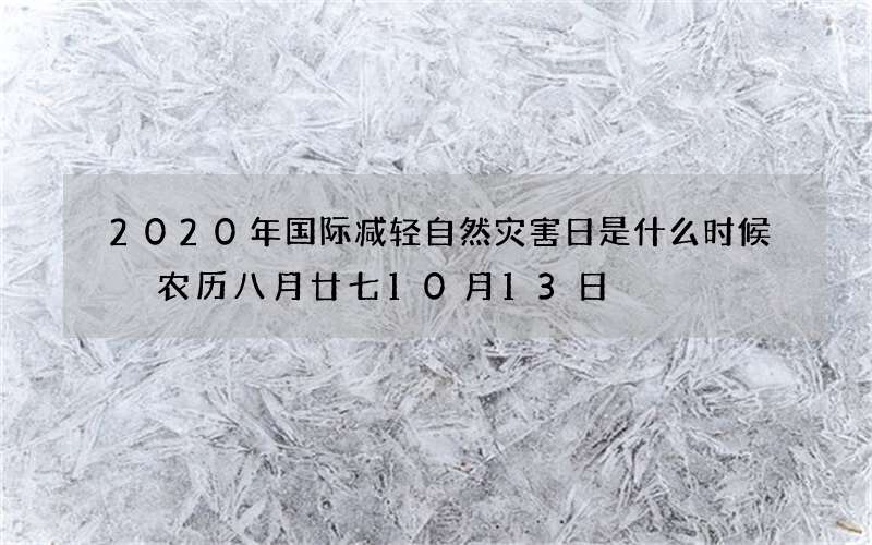 2020年国际减轻自然灾害日是什么时候 农历八月廿七10月13日